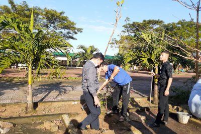 TRỒNG CÂY NHÂN DỊP ĐẦU NĂM MỚI NHÂM DẦN 2022.